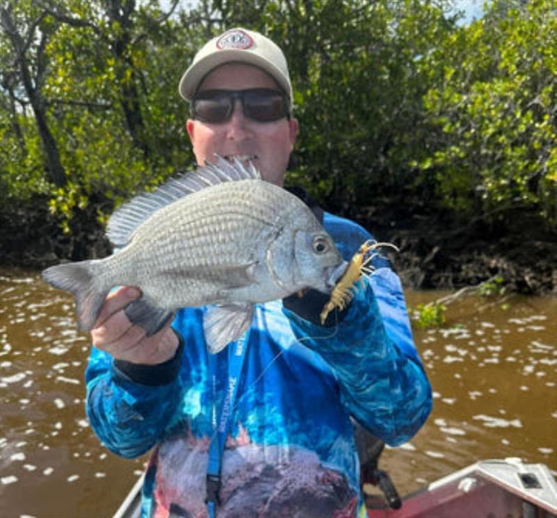 A fat pikey bream caught on a Chasebaits Flick Prawn. These scrappy bream are very aggressive and lurk near many snags in our rivers photo copyright Fisho's Tackle World taken at  and featuring the Fishing boat class
