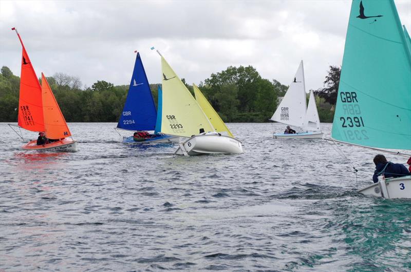Hansa TT series at New Forest and District Sailability - photo © Chris Wales