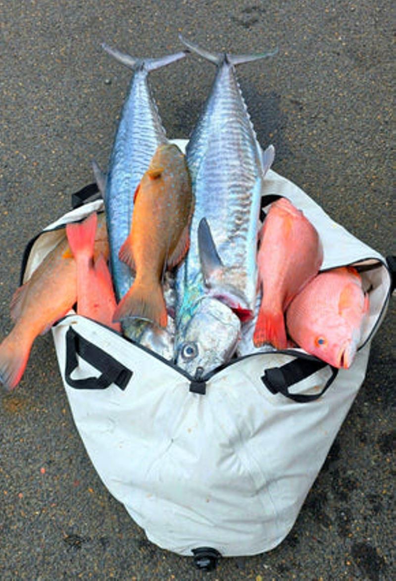 Daiwa's Insulated Fish Bags are absolute gold for charter boat clients - photo © Fisho's Tackle World