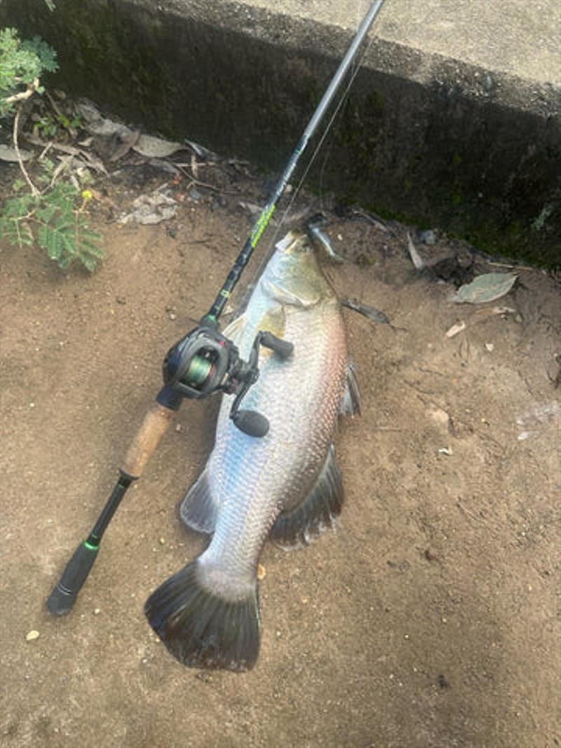 There is any number of shore-based spots you might catch a barra in Hervey Bay. Take some small lures for a flick and try your luck - photo © Fisho's Tackle World