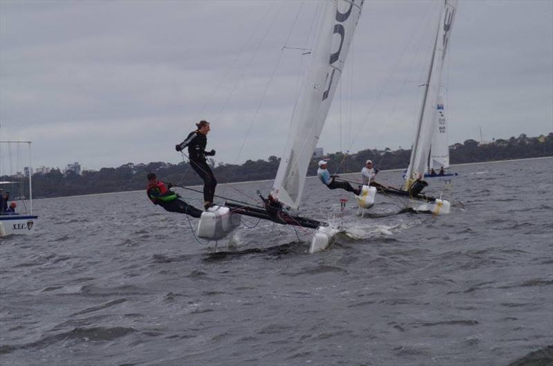 Cat Classic Regatta At Nedlands Yacht Club Preview
