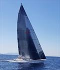 Santa Cruz 52 Westerly wins ORR Class E in 2023 Newport Harbor YC Cabo Race; Second overall © Dave Shoemaker