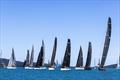 Division 1 away last year at Airlie Beach Race Week © Andrea Francolini