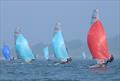 French 4000 National Championships at Lancieux © 4000 Classe France