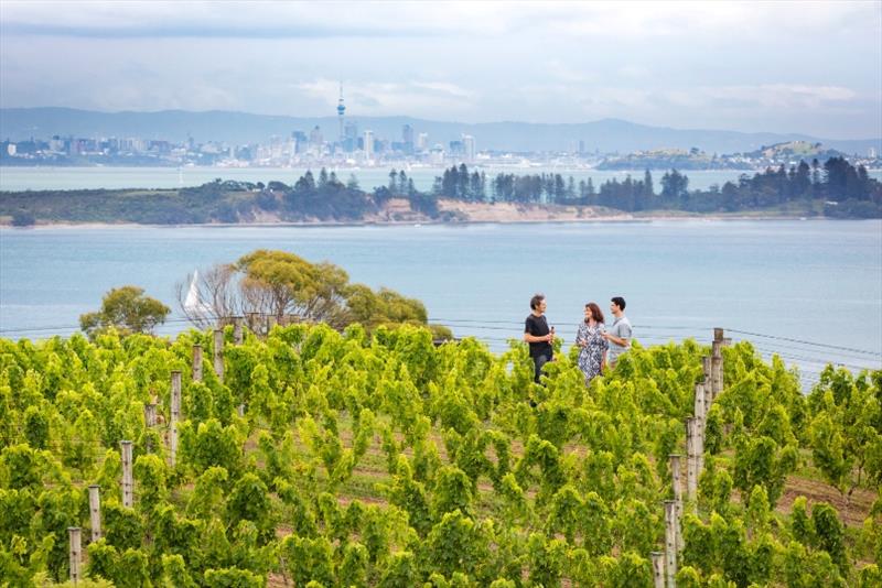 Auckland City as seen from a vineyard on Waiheke Island photo copyright Tourism New Zealand / Miles Holden taken at 