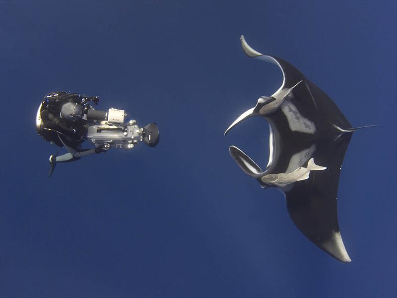 Tom filming giant manta ray, Mexico - photo © Darren Gill