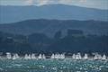 2022 Combined Optimist and Starling NZ Championships - April 2022 - Napier Sailing Club © Bruce Jenkins/Napier SC