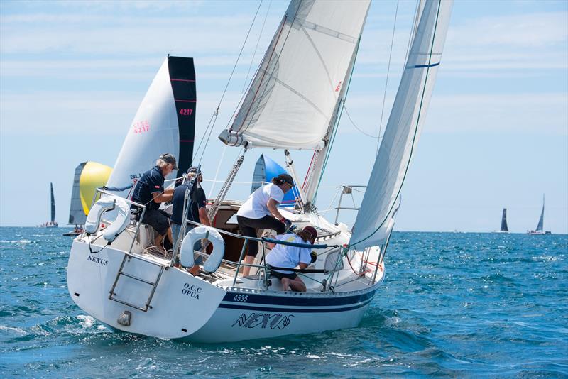 Cees Romeyn will sail Nexus at Bay of Islands Sailing Week for the 20th time in 2023  - photo © Lissa Photography