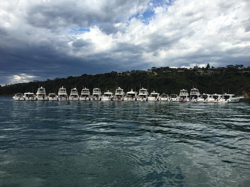 A total of 24 Riviera motor yachts joined the Melbourne mega raft-up hosted by R Marine Jacksons photo copyright Riviera taken at  and featuring the Power boat class