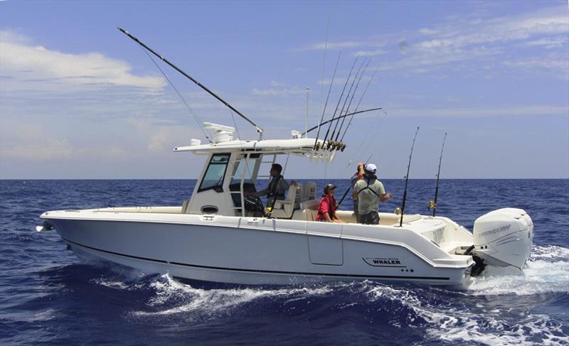 Boston Whaler 330 Outrage - photo © Boston Whaler