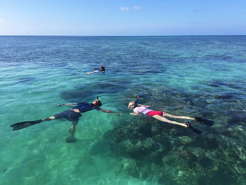 Snorkeling on the Great Barrier Reef - photo © Paul Wilson