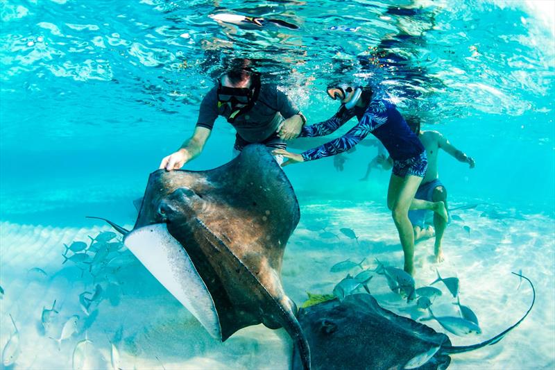 The Cayman islands waters in the Caribbean are an explorer's paradise for scuba divers and snorkellers alike photo copyright Riviera Australia taken at  and featuring the Power boat class