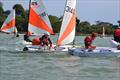 Gurnard Sailing Club Junior Championship © Jenny Preston