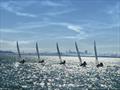 U20s in action on San Francisco Bay © Ultimate 20 North American Championship